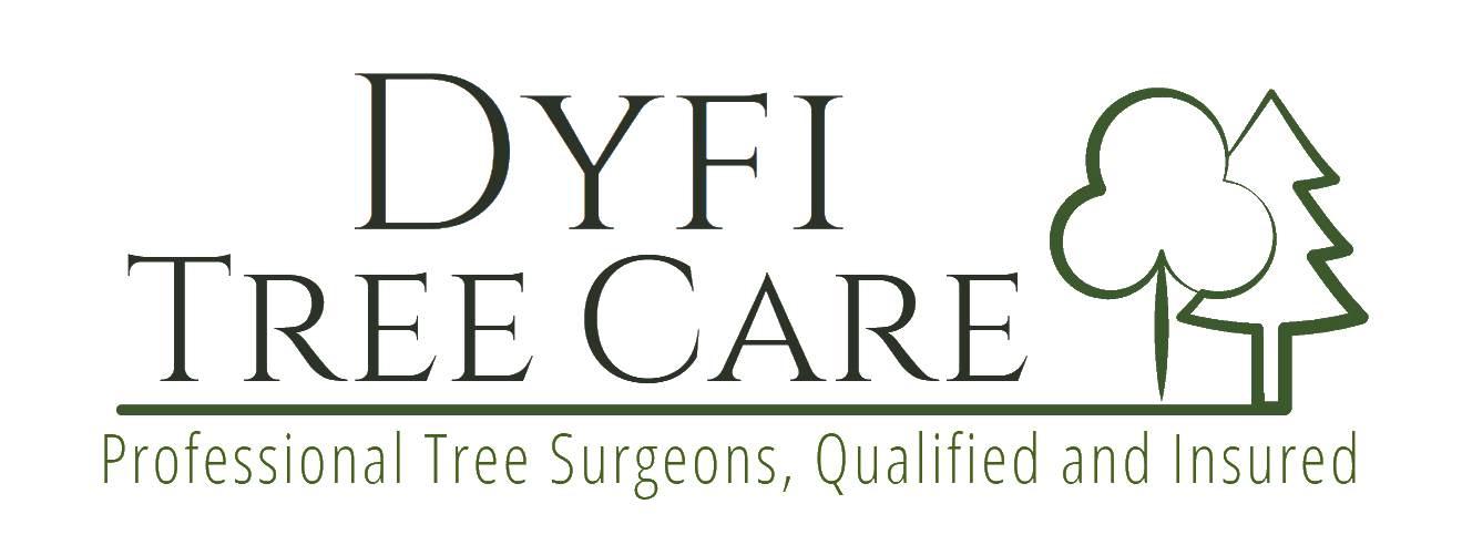 Dyfi Tree Care