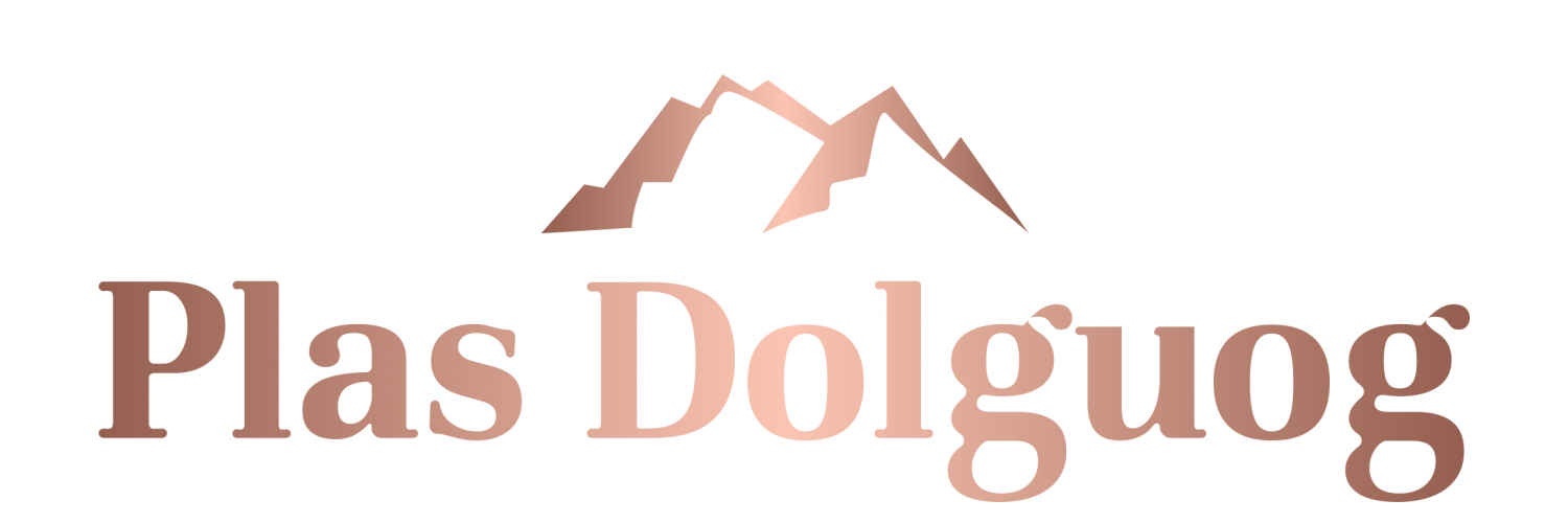 Plas Dolguog